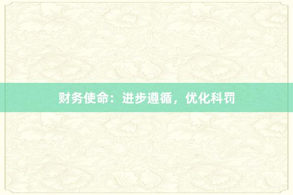 财务使命：进步遵循，优化科罚